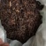 【精品】梅干菜梅菜扣肉江苏梅菜大量供应品质保障