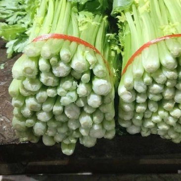 甘肃高原夏菜