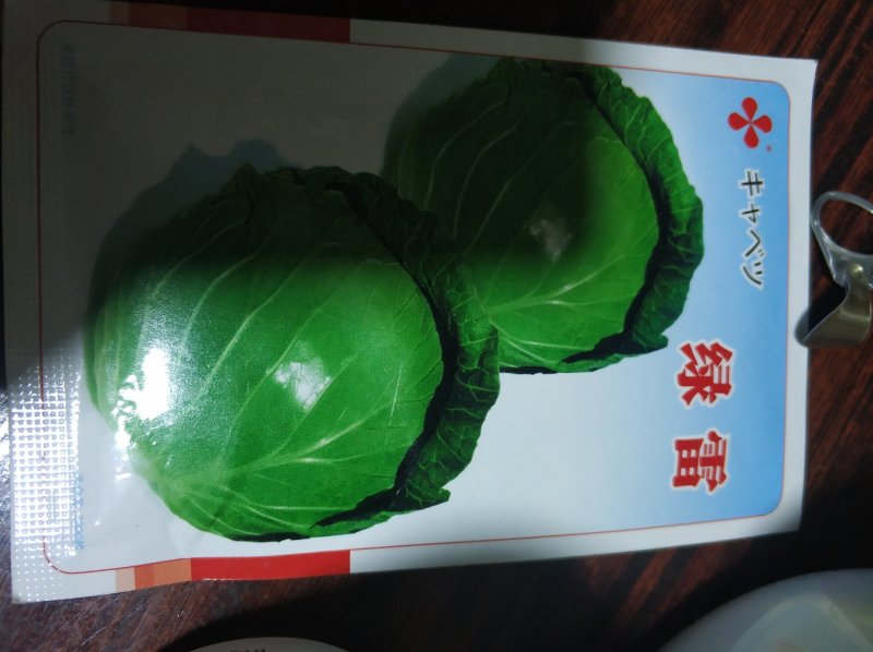 甘蓝大量现货。，，，，