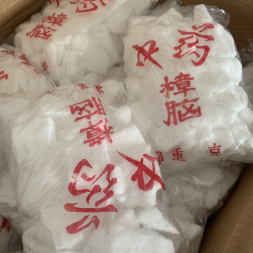 樟脑，药厂投料，外用中药粉