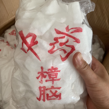 樟脑，药厂投料，外用中药粉