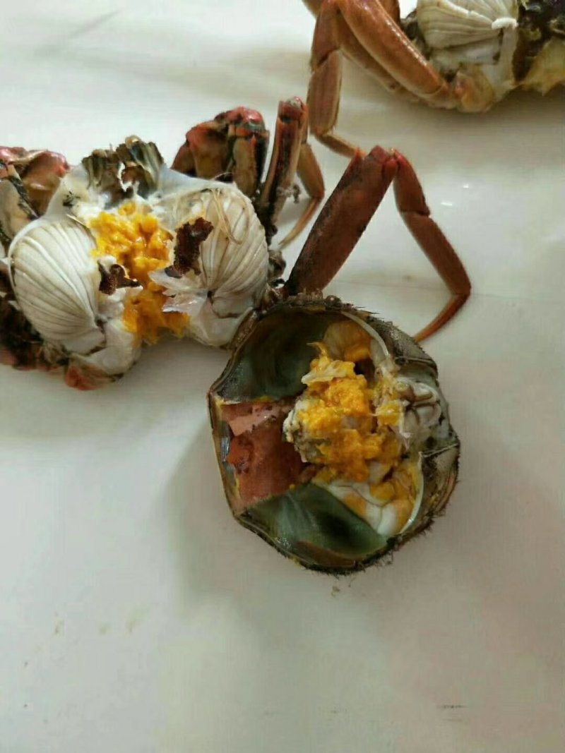 河蟹六月黄，保质保量，如果出现质量问题全额退款