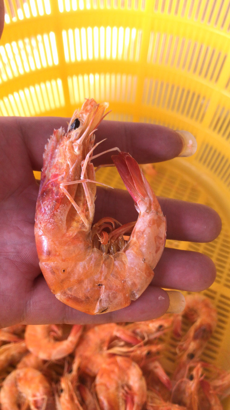 烤虾