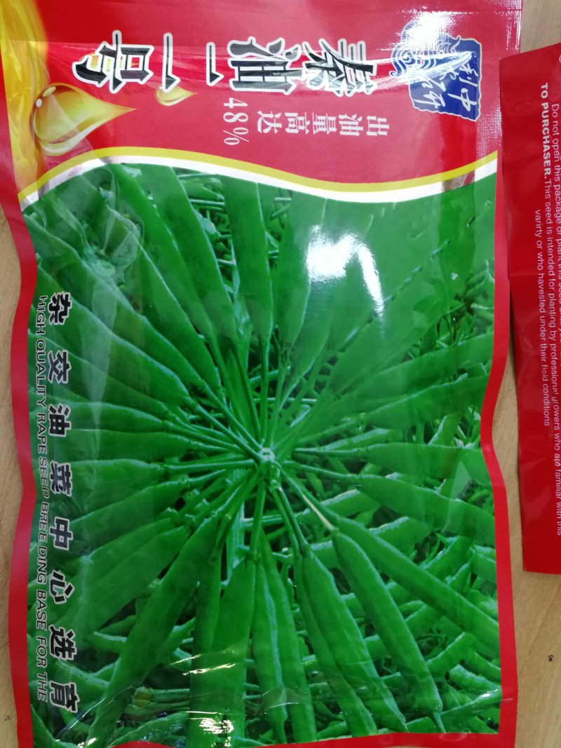 【优质】厂家直销秦油二号油菜种子黑粒出油率高纯度
