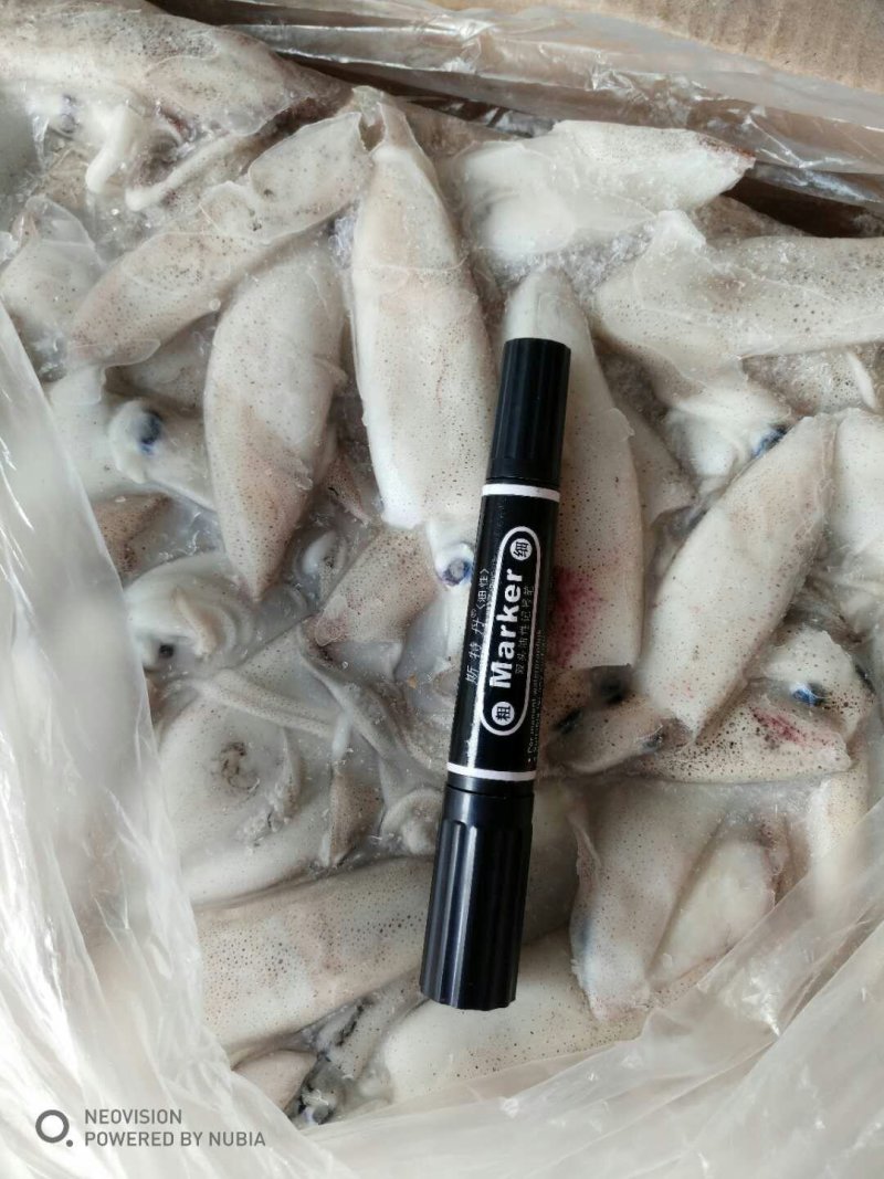 精品墨鱼仔鱿鱼