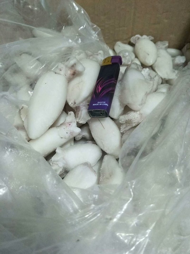 精品墨鱼仔鱿鱼