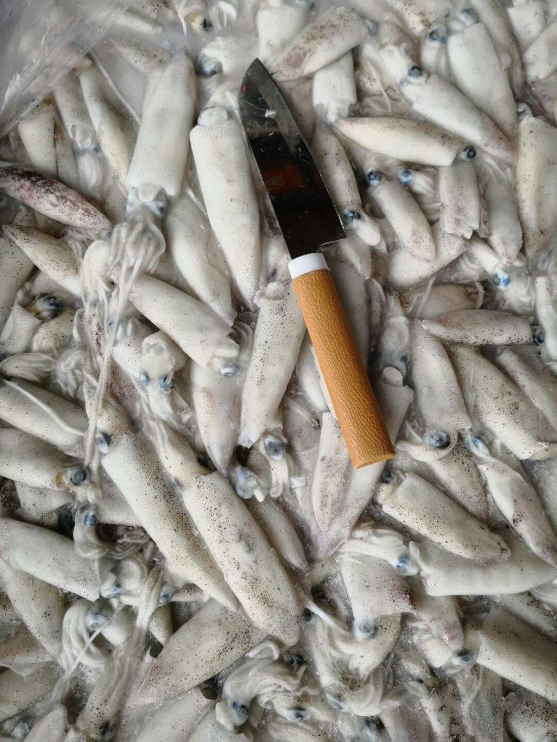 精品墨鱼仔鱿鱼