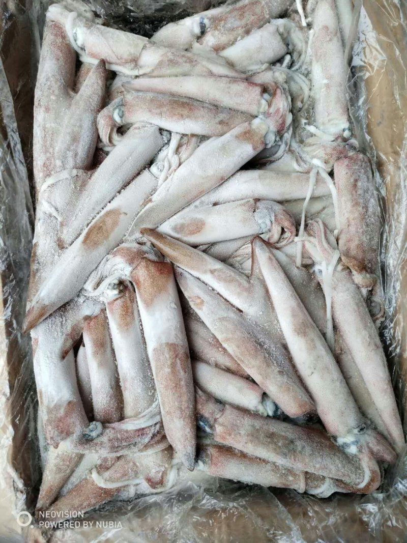 精品墨鱼仔鱿鱼