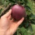 花牛苹果🍎