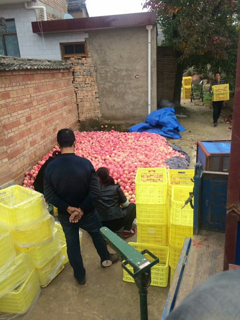 花牛苹果🍎
