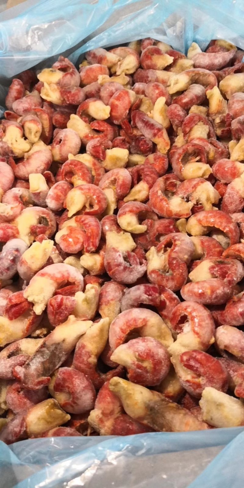 龙虾尾