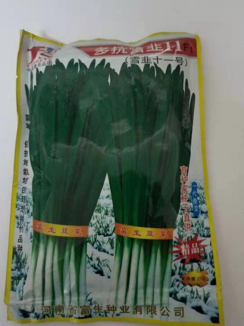 韭菜种子，久星16久星18/冬季不休眠品种种子