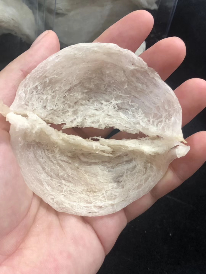 中秋节燕窝，送礼佳品，孕妇哺乳期都可以吃，燕条