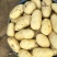 土豆大量上市
