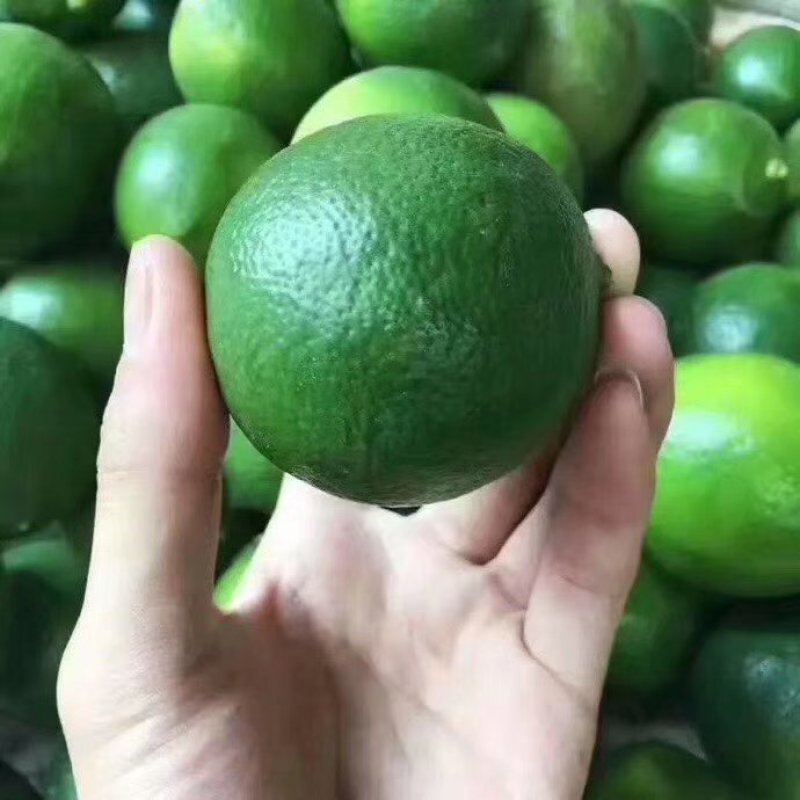 青柠檬