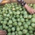 青皮核桃