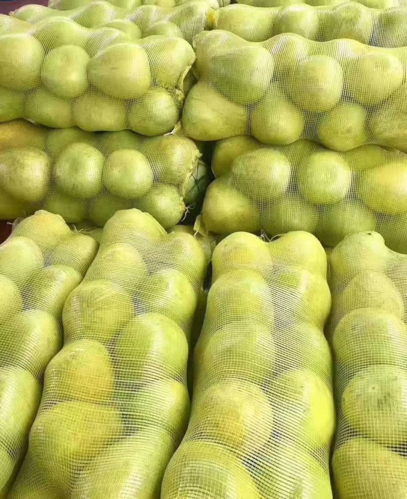 柚子（东试早）傣柚好货