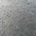 黑鱼