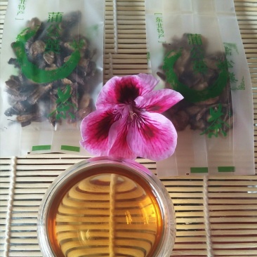 长白山蒲公英根茶试用50克装