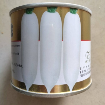 大阪白龙白萝卜种子耐抽苔抗病能力强产量高