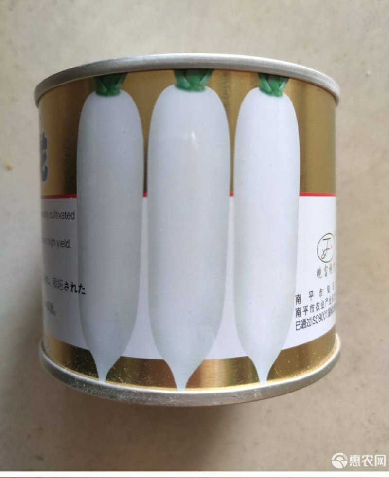 大阪白龙白萝卜种子耐抽苔抗病能力强产量高