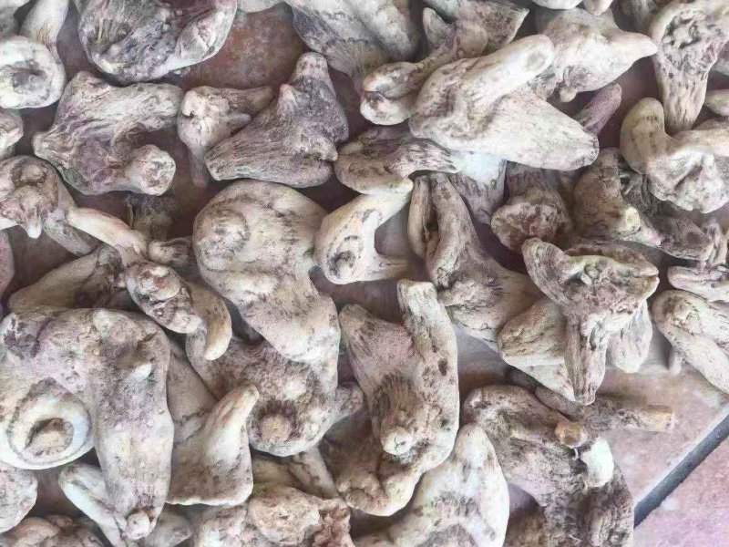 秦岭富硒三叉白芨紫花白芨干白芨原生态无添加包邮