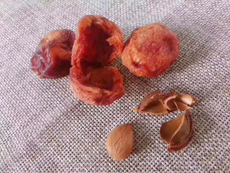 吊干杏新疆特产无添加食阿克苏四团吊干杏新货出售批发