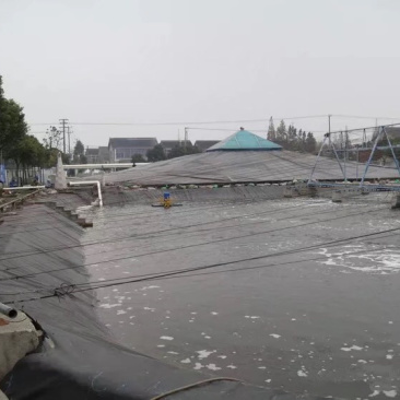 鱼塘藕池护坡防渗膜蓄水池专用防水板
