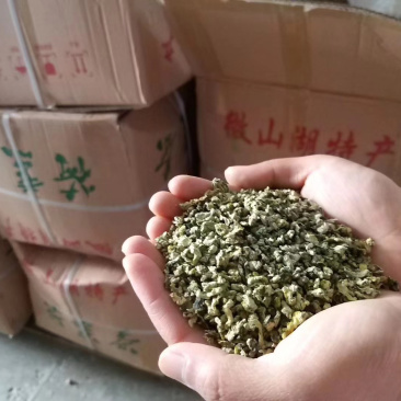 源头厂家批发荷叶茶，荷叶粉，荷叶袋泡茶OEM贴牌代加工