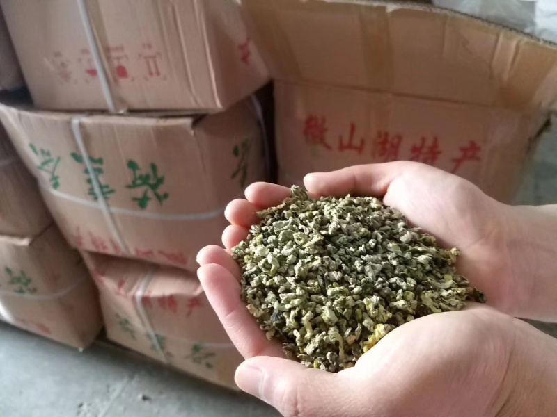 源头厂家批发荷叶茶，荷叶粉，荷叶袋泡茶OEM贴牌代加工