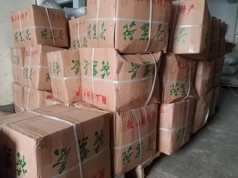 源头厂家批发荷叶茶，荷叶粉，荷叶袋泡茶OEM贴牌代加工