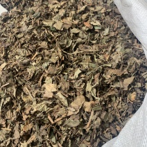 鱼腥草，鱼腥草粉，中药材超细粉，鱼腥草投料药厂提取鱼腥草
