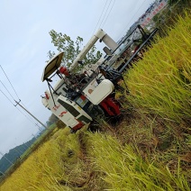 邵武市六竹山水稻种植专业合作社