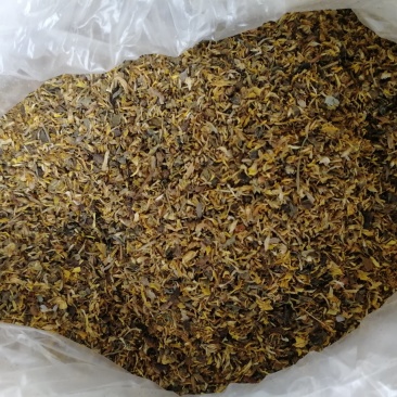 菊花沫子野菊花粉野菊花瓣黄苦菊小颗粒过筛