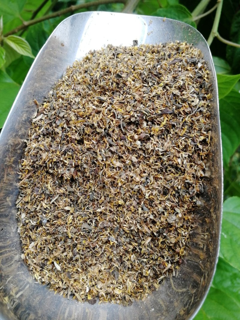 菊花沫子野菊花粉野菊花瓣黄苦菊小颗粒过筛