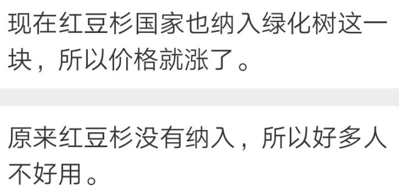云南红豆杉，大量出售