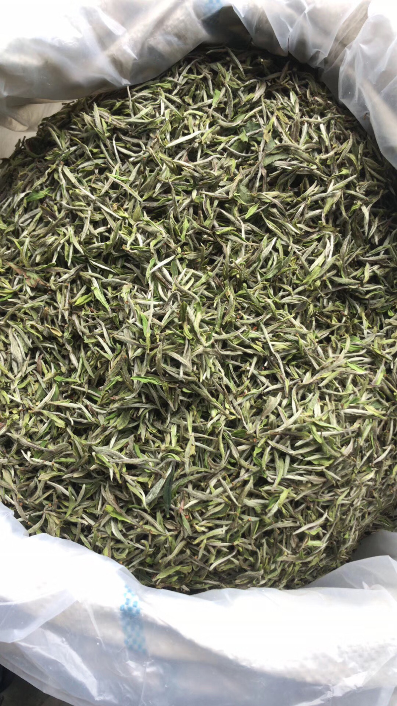 炒绿茶