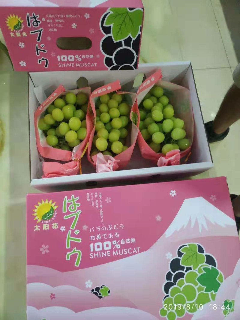阳光玫瑰葡萄，香印、晴王葡萄，精品青提，货源充足，