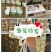 鲜枣，冬枣，婆枣，一件代发