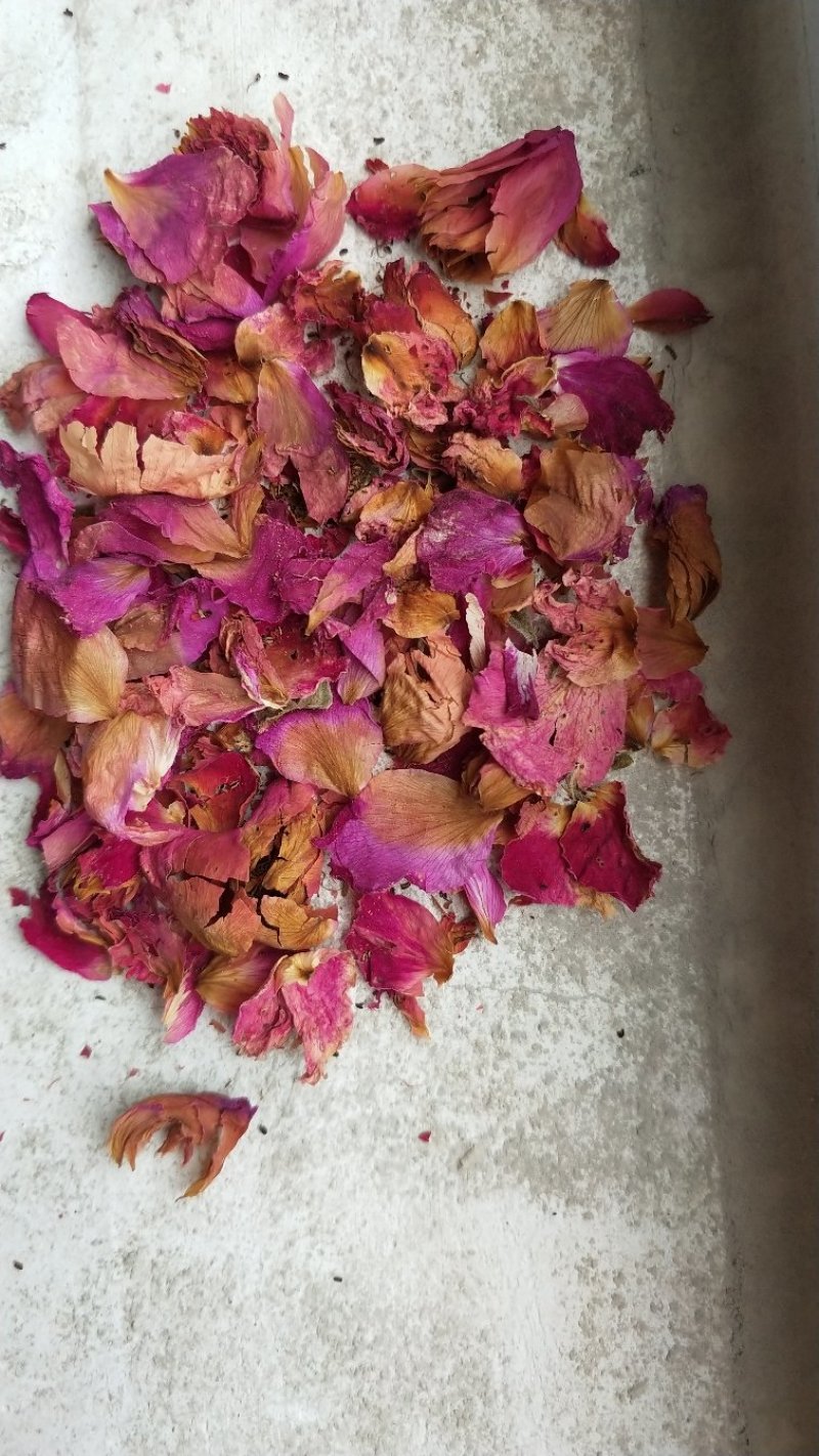 山东平阴食用级玫瑰花瓣玫瑰花茶打粉袋泡茶化妆品原料