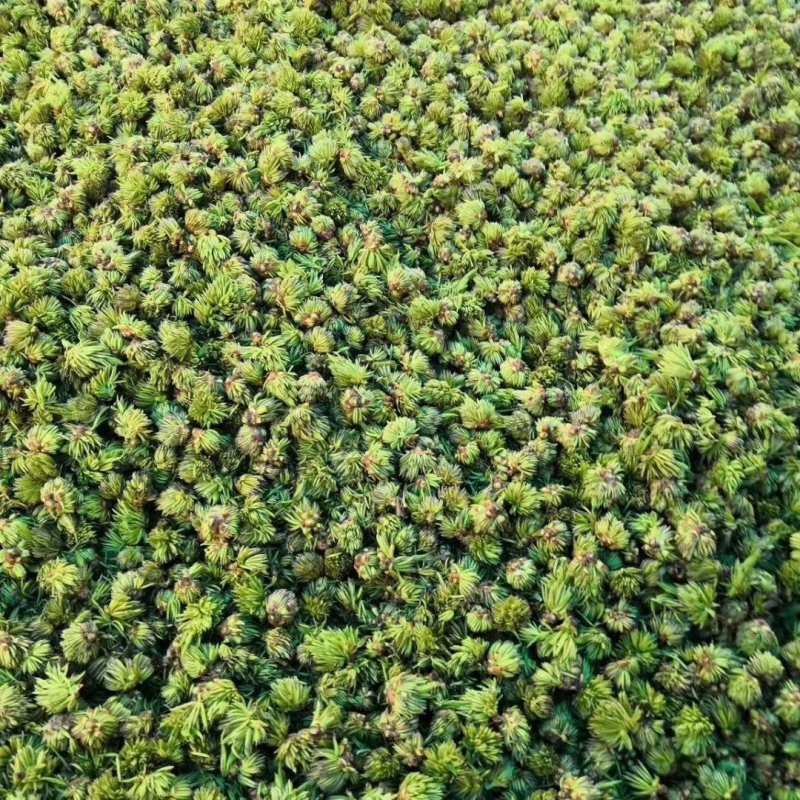 杜仲雄花茶低中高，各种质量