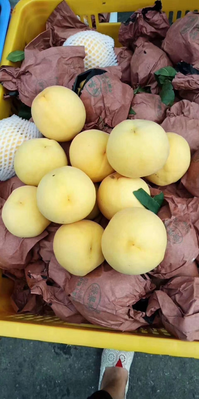 锦绣黄桃