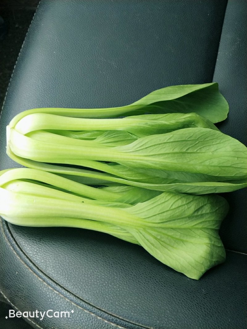 精品油菜