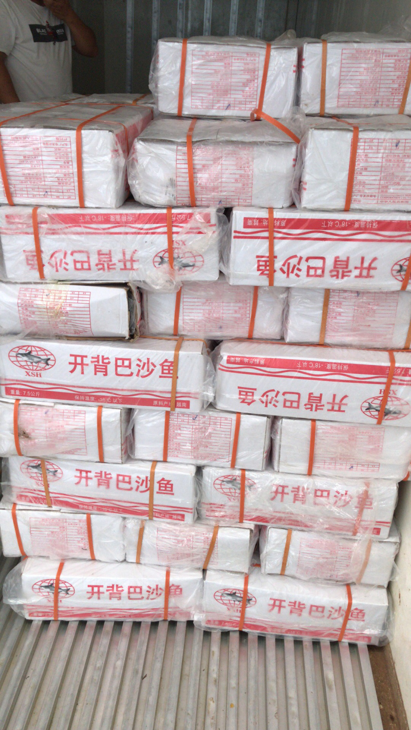 开背鱼，鱼柳