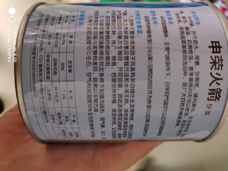 火箭快菜种子叶色绿叶片肥大叶帮宽球内黄心