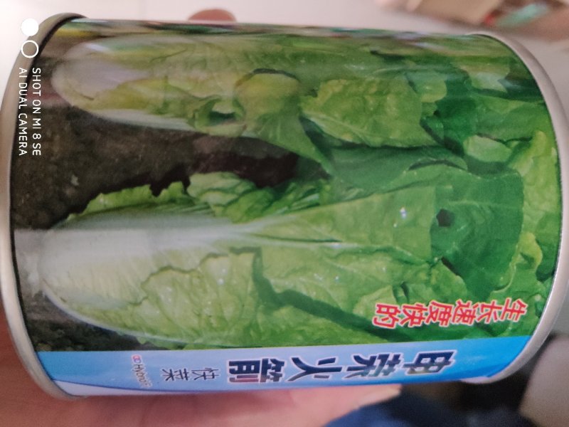 火箭快菜种子叶色绿叶片肥大叶帮宽球内黄心