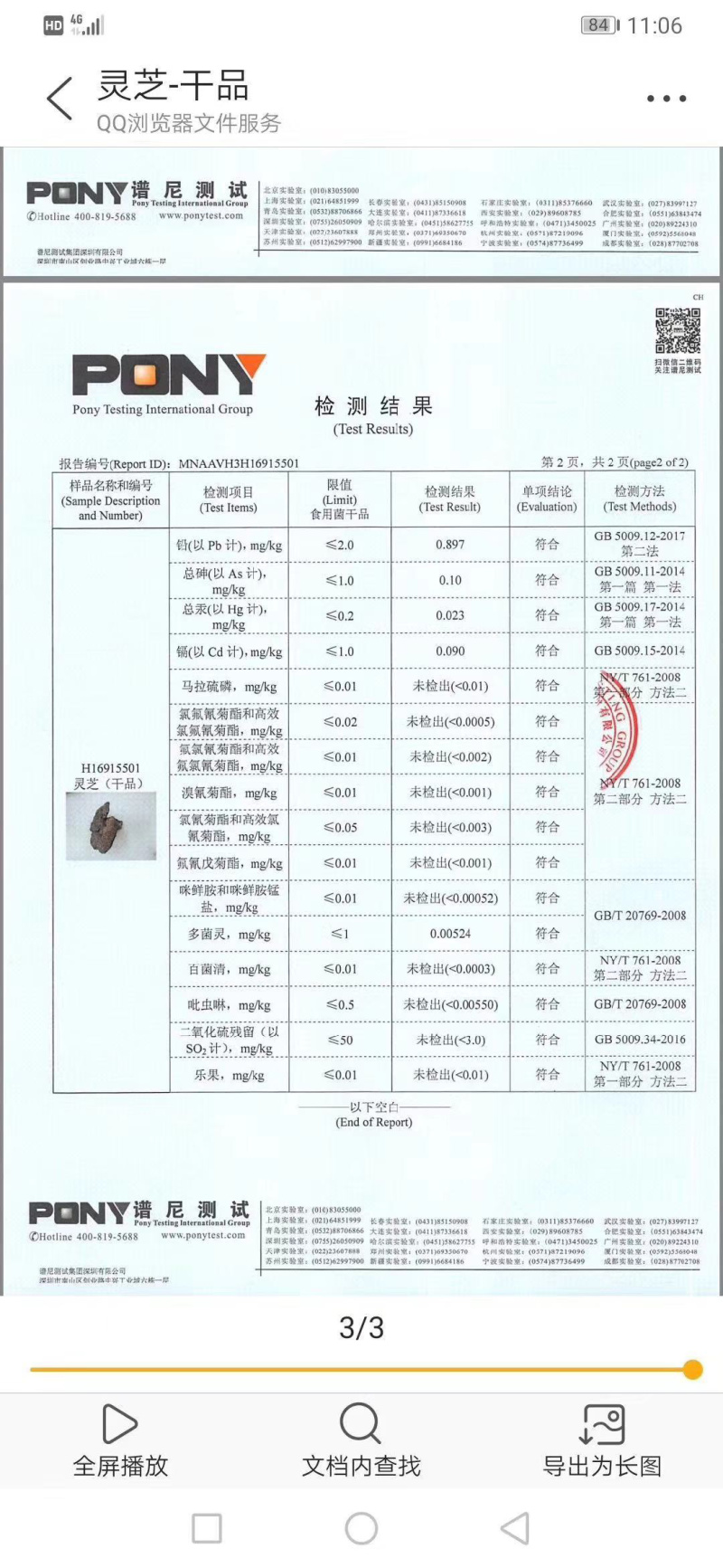 深山野生灵芝