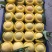 皇冠梨450~500g纸袋