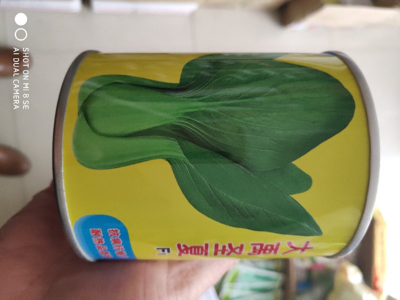 大禹圣夏青梗菜种子耐热抗病丰产