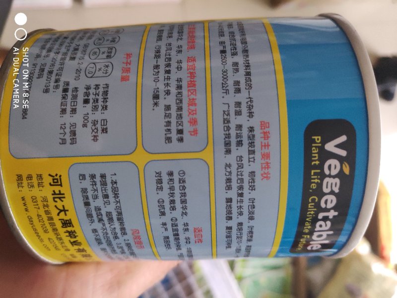 大禹圣夏青梗菜种子耐热抗病丰产